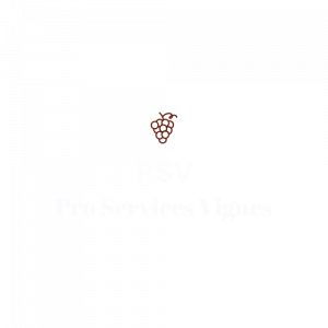 Bonjour chez PSV !